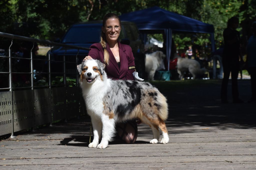 Of Eternal Red Heart - Dernières expos canines de l'élevage !