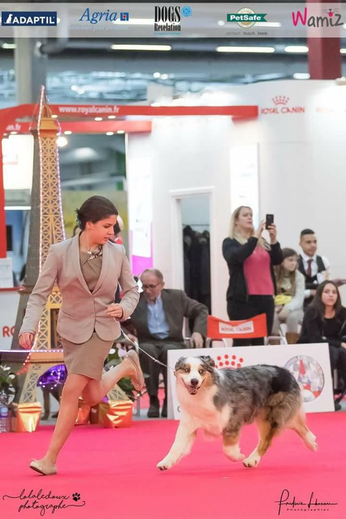 Of Eternal Red Heart - Paris Dog Show 2018