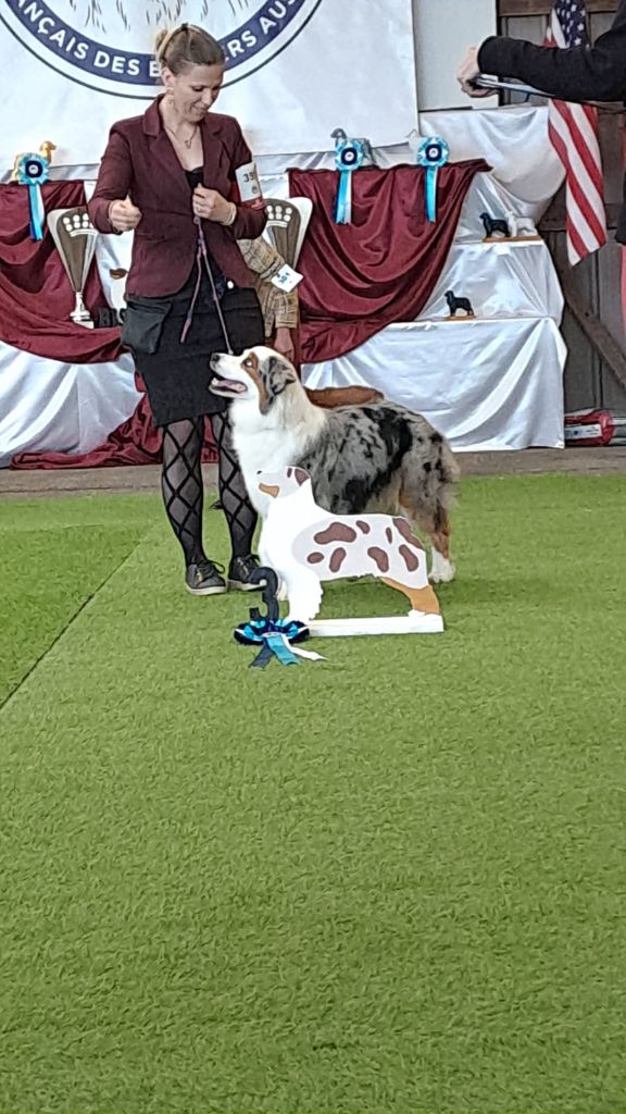Of Eternal Red Heart - Expositions canines en mai 2025