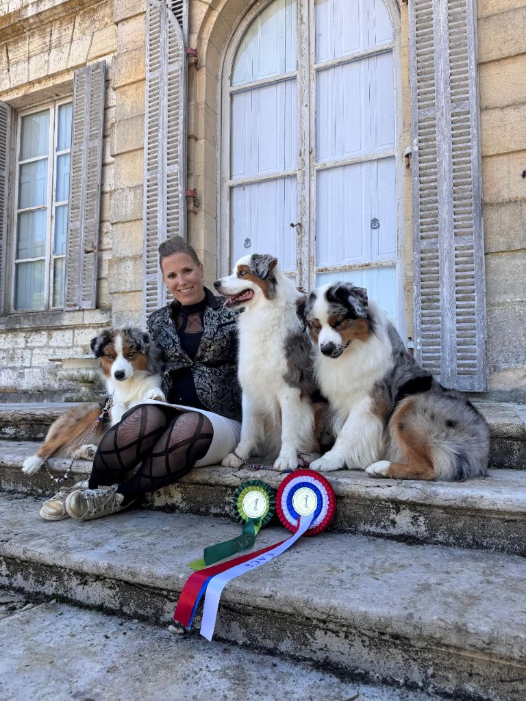 Dernières expositions